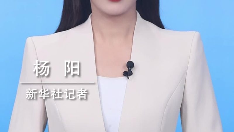数据中台与大数据平台：核心参数对比解析